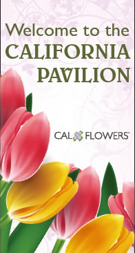 Welcome to Cal Pavilion